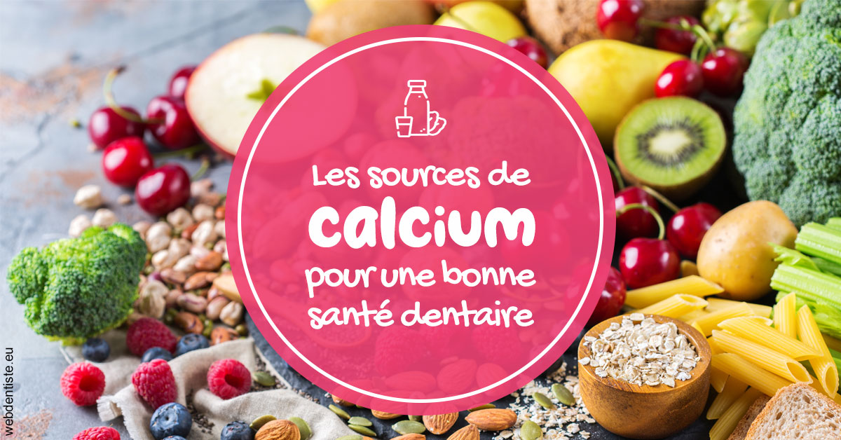 https://www.docteur-nooshika.fr/Sources calcium 2