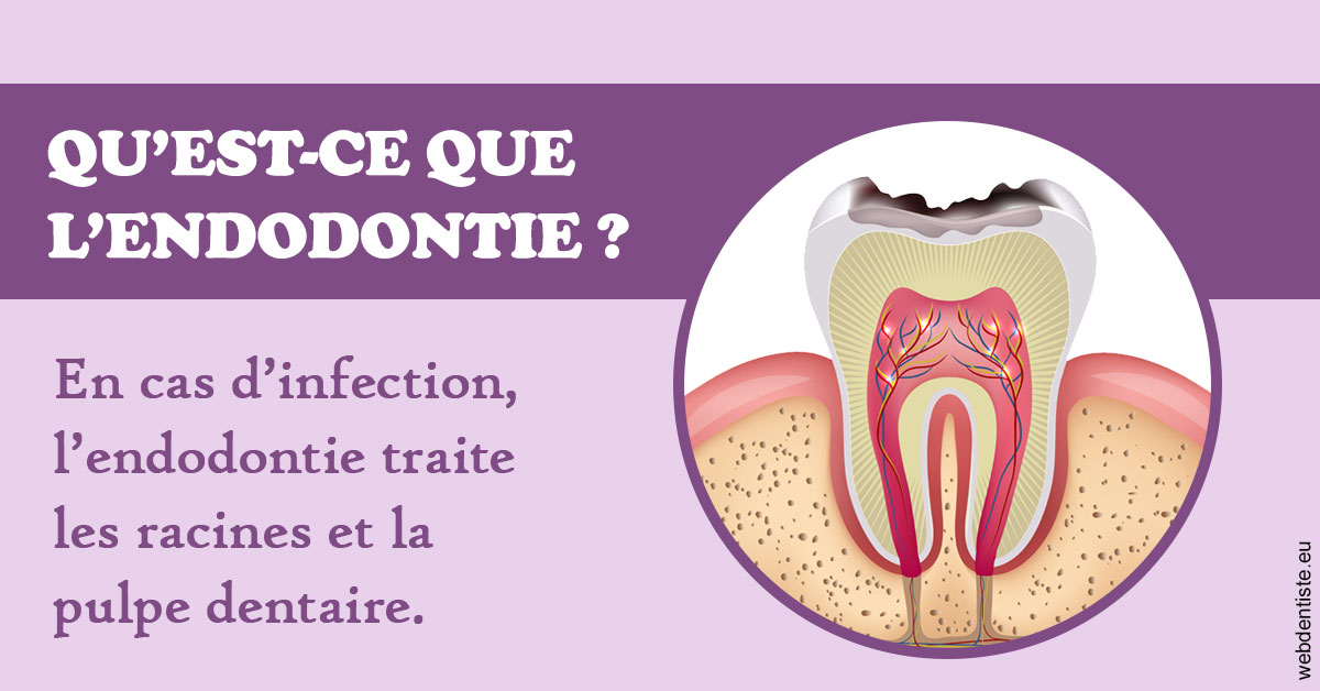 https://www.docteur-nooshika.fr/2024 T1 - Endodontie 02