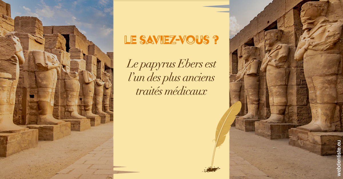 https://www.docteur-nooshika.fr/Papyrus 2