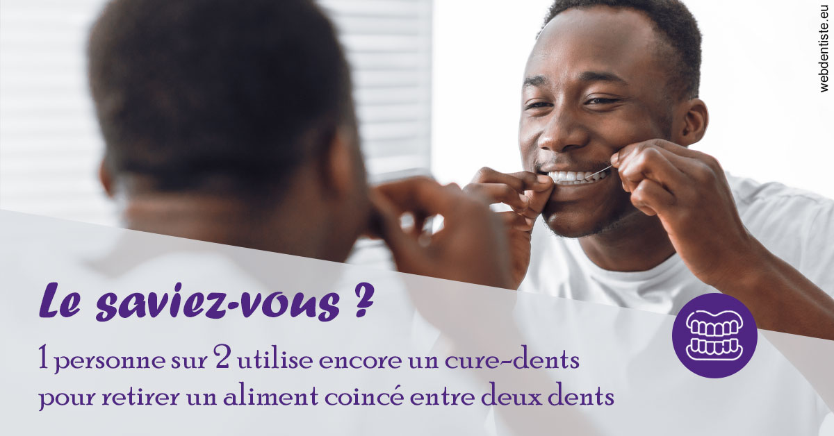 https://www.docteur-nooshika.fr/Cure-dents 2