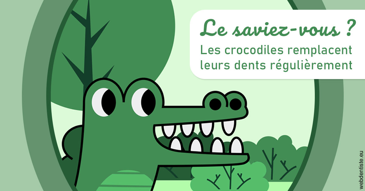 https://www.docteur-nooshika.fr/Crocodiles 2