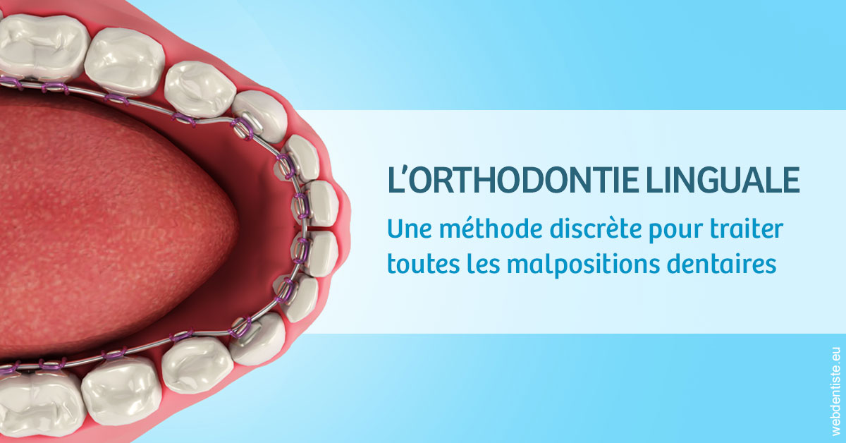 https://www.docteur-nooshika.fr/L'orthodontie linguale 1