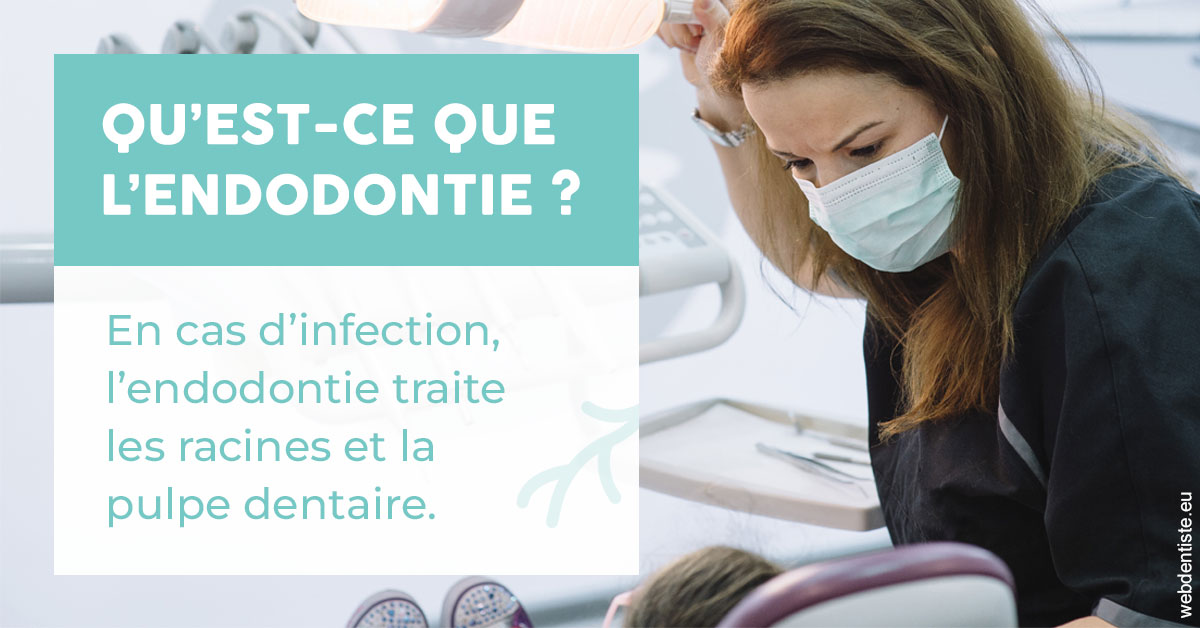 https://www.docteur-nooshika.fr/2024 T1 - Endodontie 01