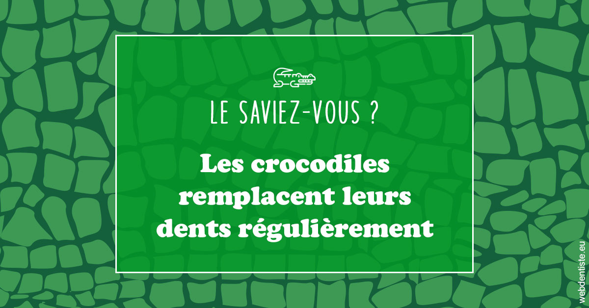 https://www.docteur-nooshika.fr/Crocodiles 1